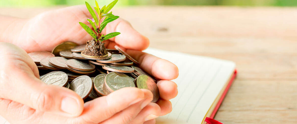 ESTADO DE INFORMACIÓN NO FINANCIERA 2021