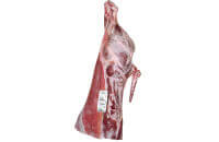 Hindquarter, flank on